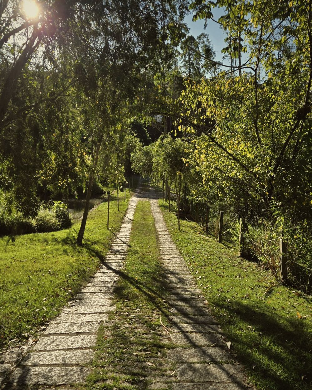 Caminho de pedra entre árvores, numa das trilhas do Spa